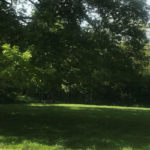vue du bois de clamart