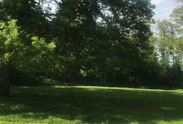 vue du bois de clamart