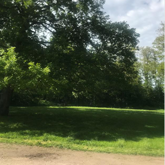 Forêt de Clamart pour le stage de yoga