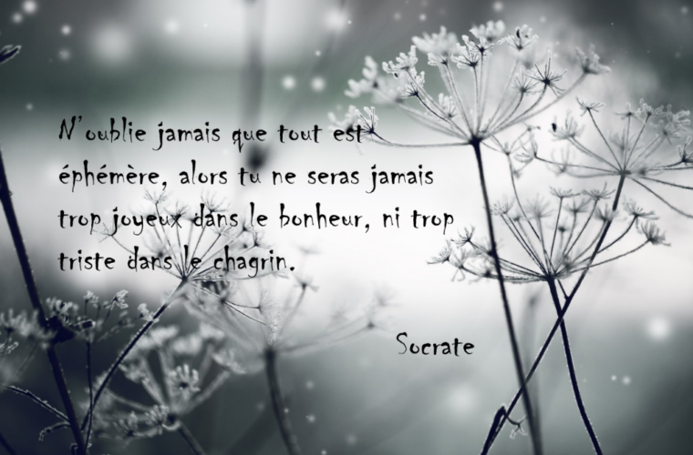 Image noir et blanc de fleur avec un texte sur la souffrance