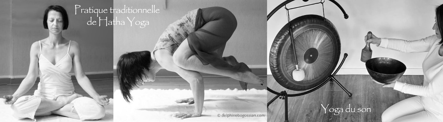 Beandeau d'images de Hatha Yoga et yoga du son